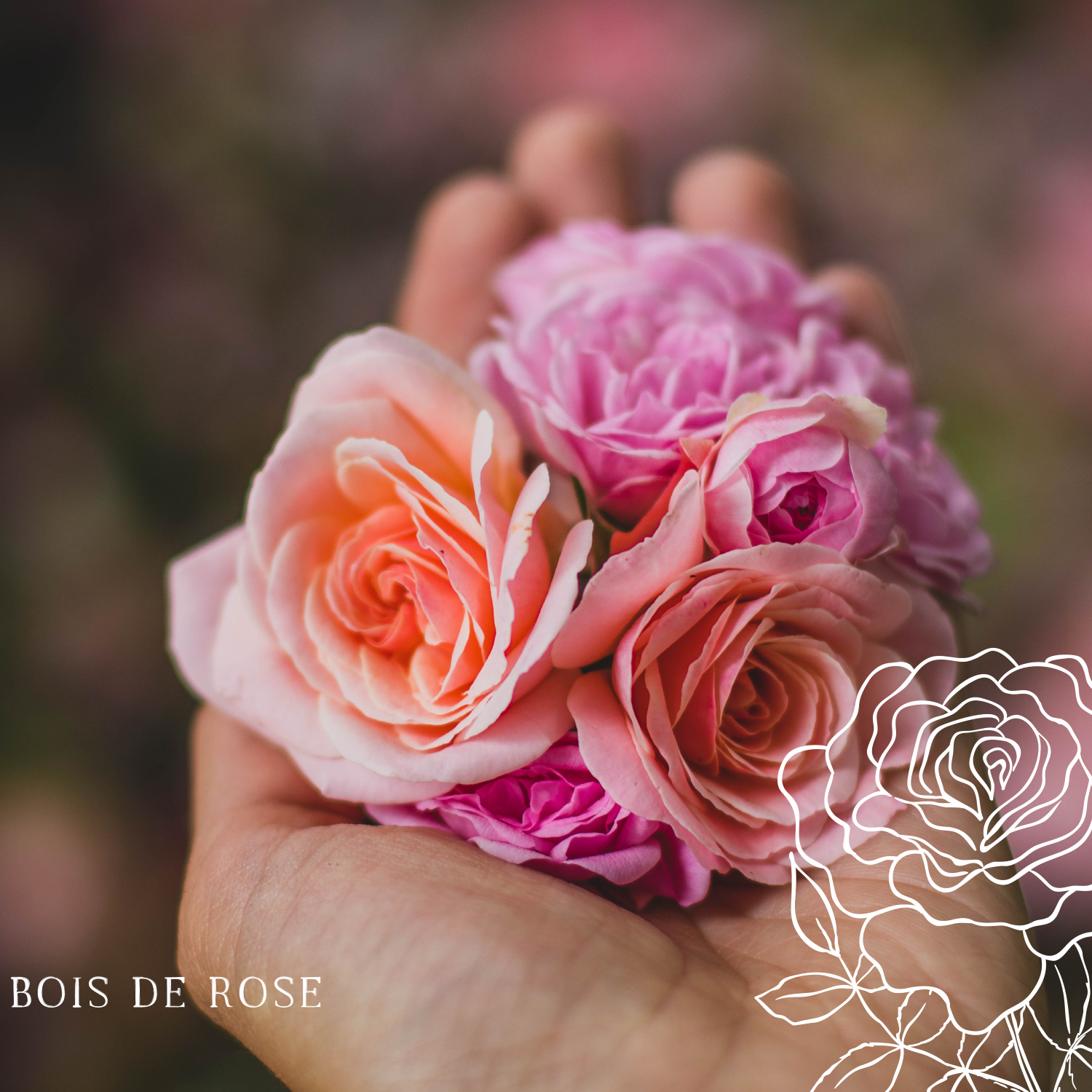 Bois De Rose Bougie Parfumée Collection Essentielle: Petite
