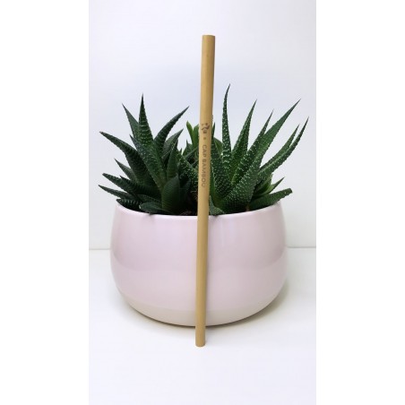 Paille longue réutilisable en bambou