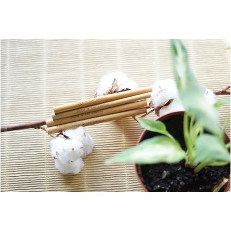 Pailles courtes réutilisables en bambou