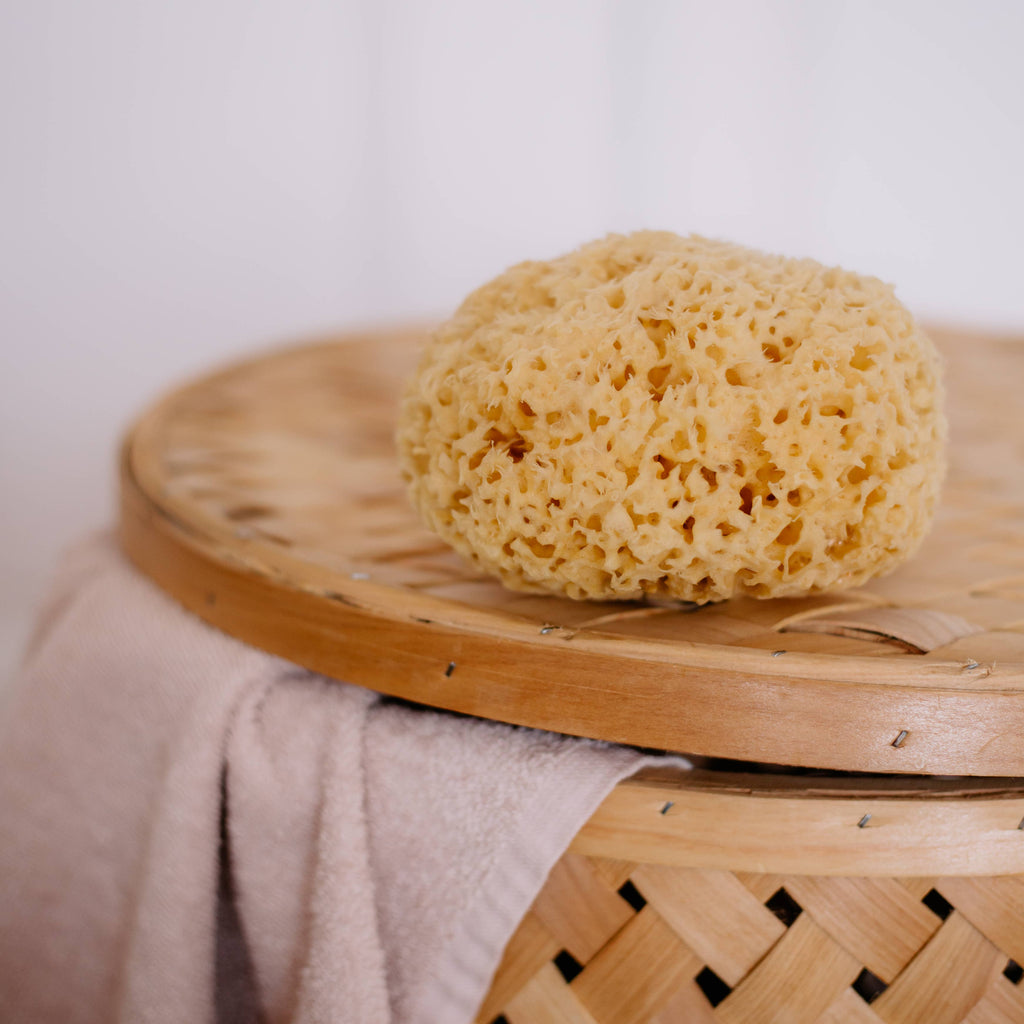 Éponge naturelle durable de la mer Boho bain bien-être spa: Petit