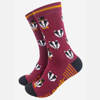 Coffret Cadeau Chaussettes Homme - Bleu Marine, Animaux de la Forêt: UK 7-11 | EU 40.5 -46 | US 8-12