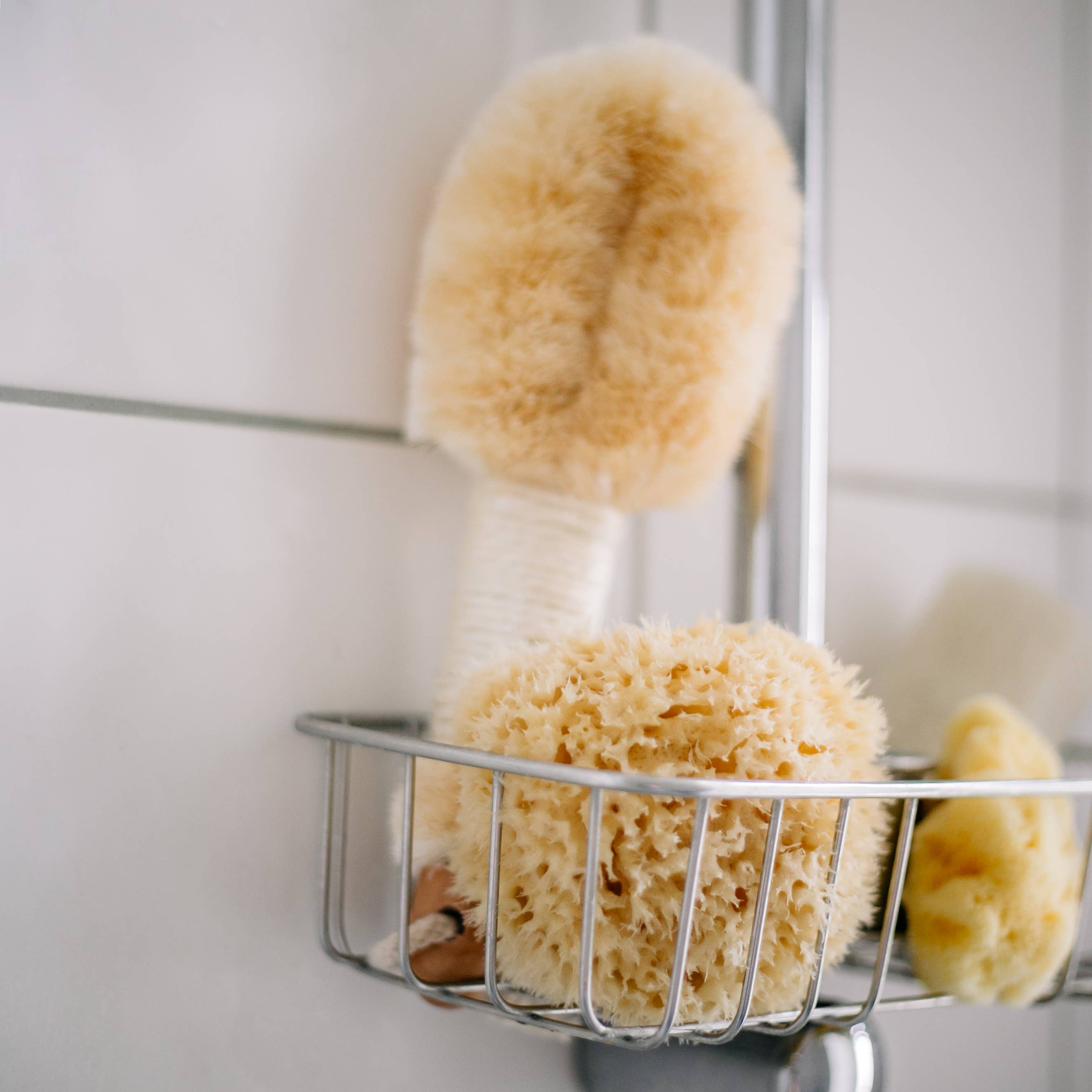 Éponge naturelle durable de la mer Boho bain bien-être spa: Petit