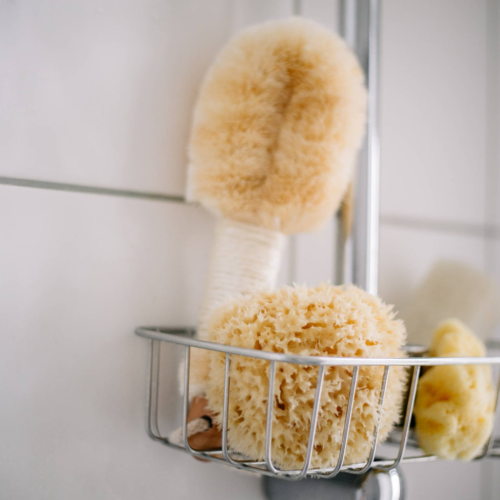 Éponge naturelle durable de la mer Boho bain bien-être spa: Grand