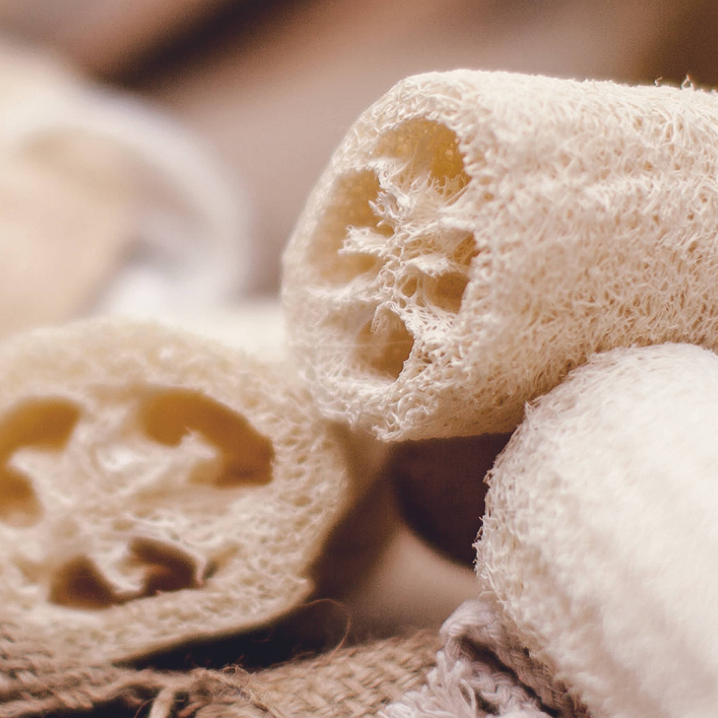 Grande eponge luffa