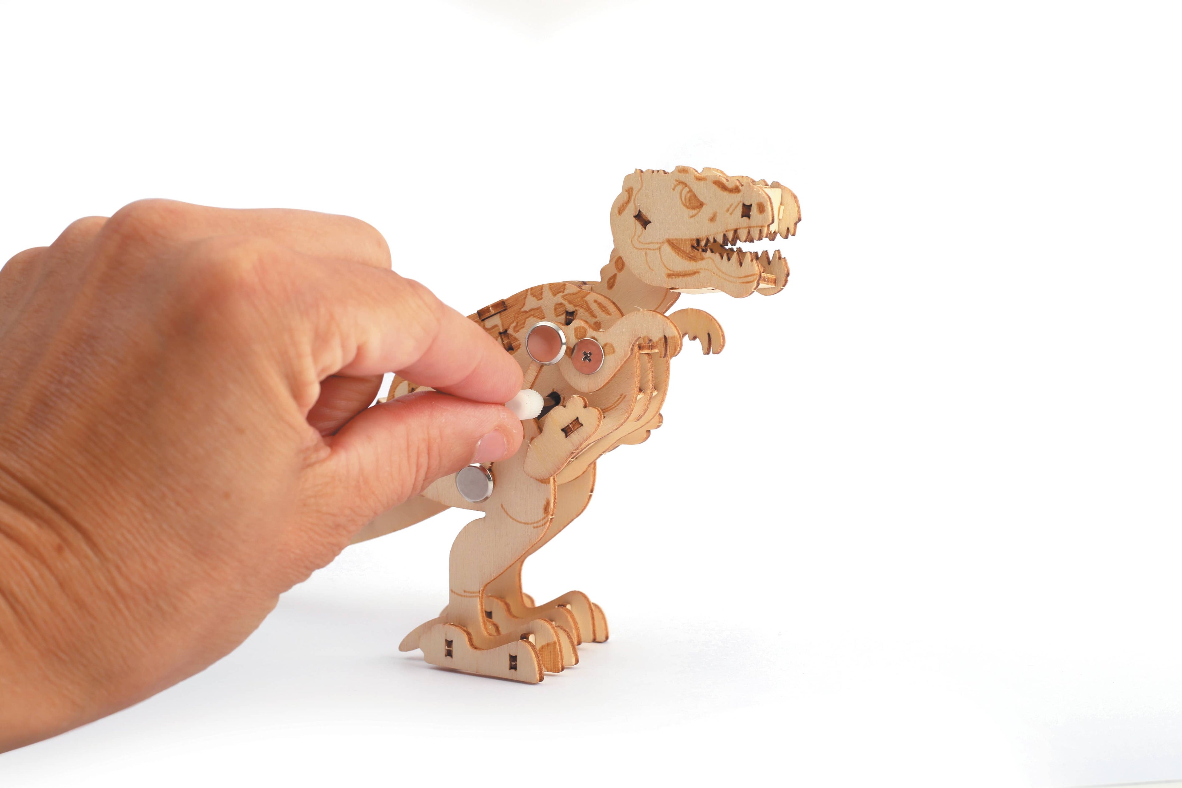 MAQUETTE  EN BOIS 3D MECANIQUE  T-REX