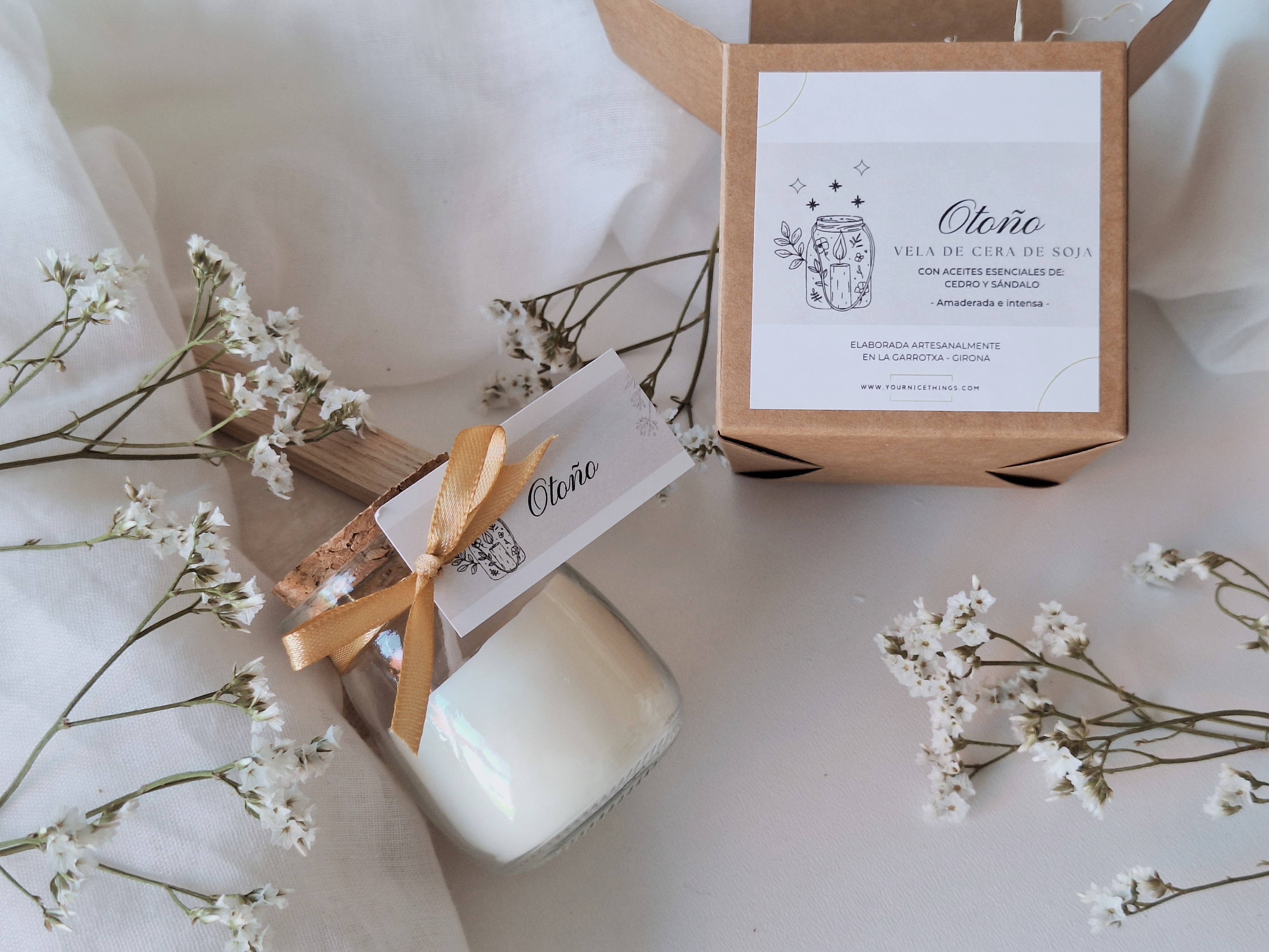 Bougie en cire de soja dans un bocal en verre Automne de cèdre et de santal: Français / Avec boîte