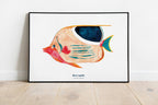 Papeterie Affiche Illustration Déco - Le Poisson Exotique 🐠: 14.8 x 21