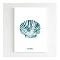 Papeterie Affiche Illustration Déco - Coquille Bleue 🐚: 15 x 21 cm