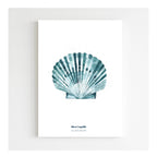 Papeterie Affiche Illustration Déco - Coquille Bleue 🐚: 15 x 21 cm