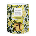 Boite de Biscuits Croquant Citron - 100g