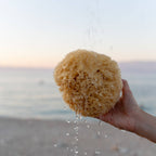 Éponge naturelle durable de la mer Boho bain bien-être spa: Moyen