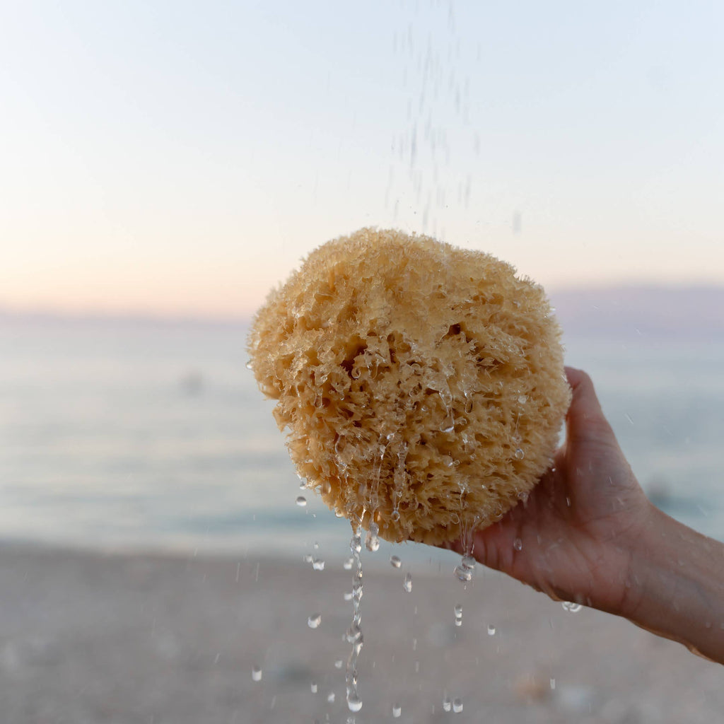 Éponge naturelle durable de la mer Boho bain bien-être spa: Très grand