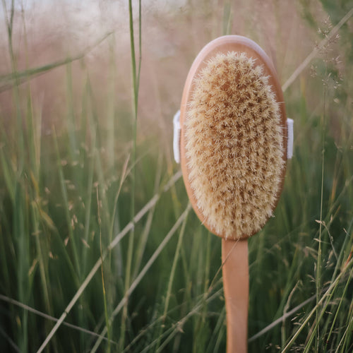 Brosse corporelle avec manche, massage en bois anniversaire femmes