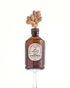 Sirop de Gingembre Brut Biologique - 400 ml