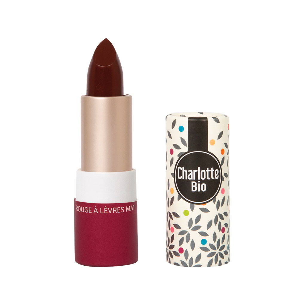 Rouges à lèvres: Nude moka glossy