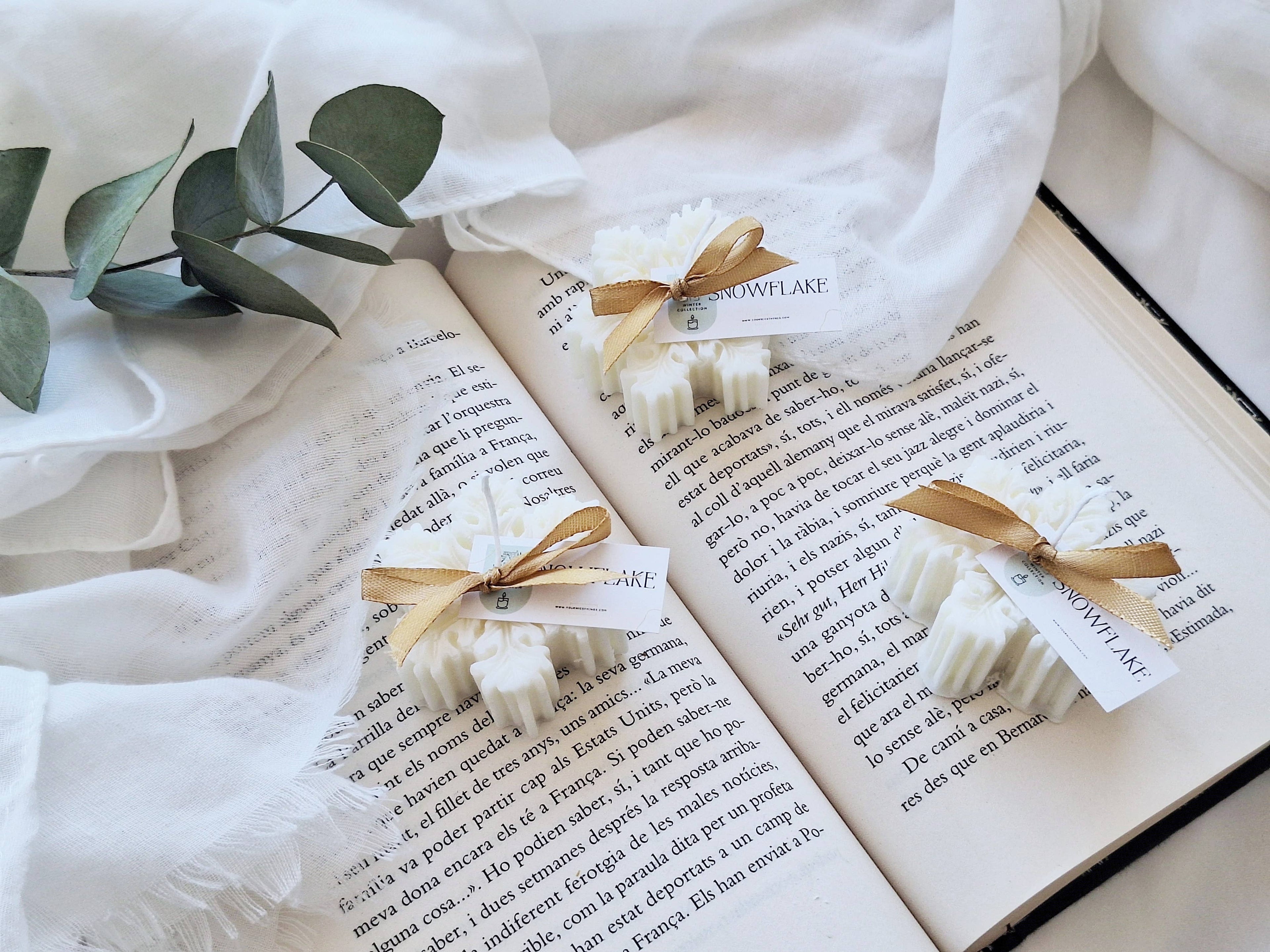 Bougie de Noël en cire de soja flocon de neige: Français / Bland