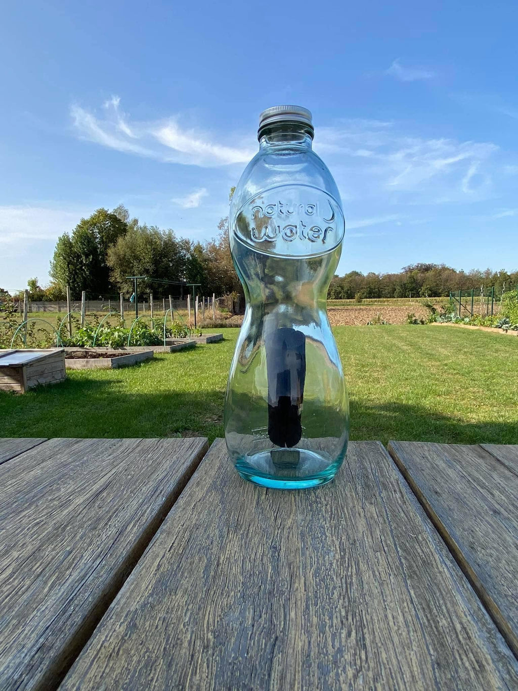 charbon binchotan Woody