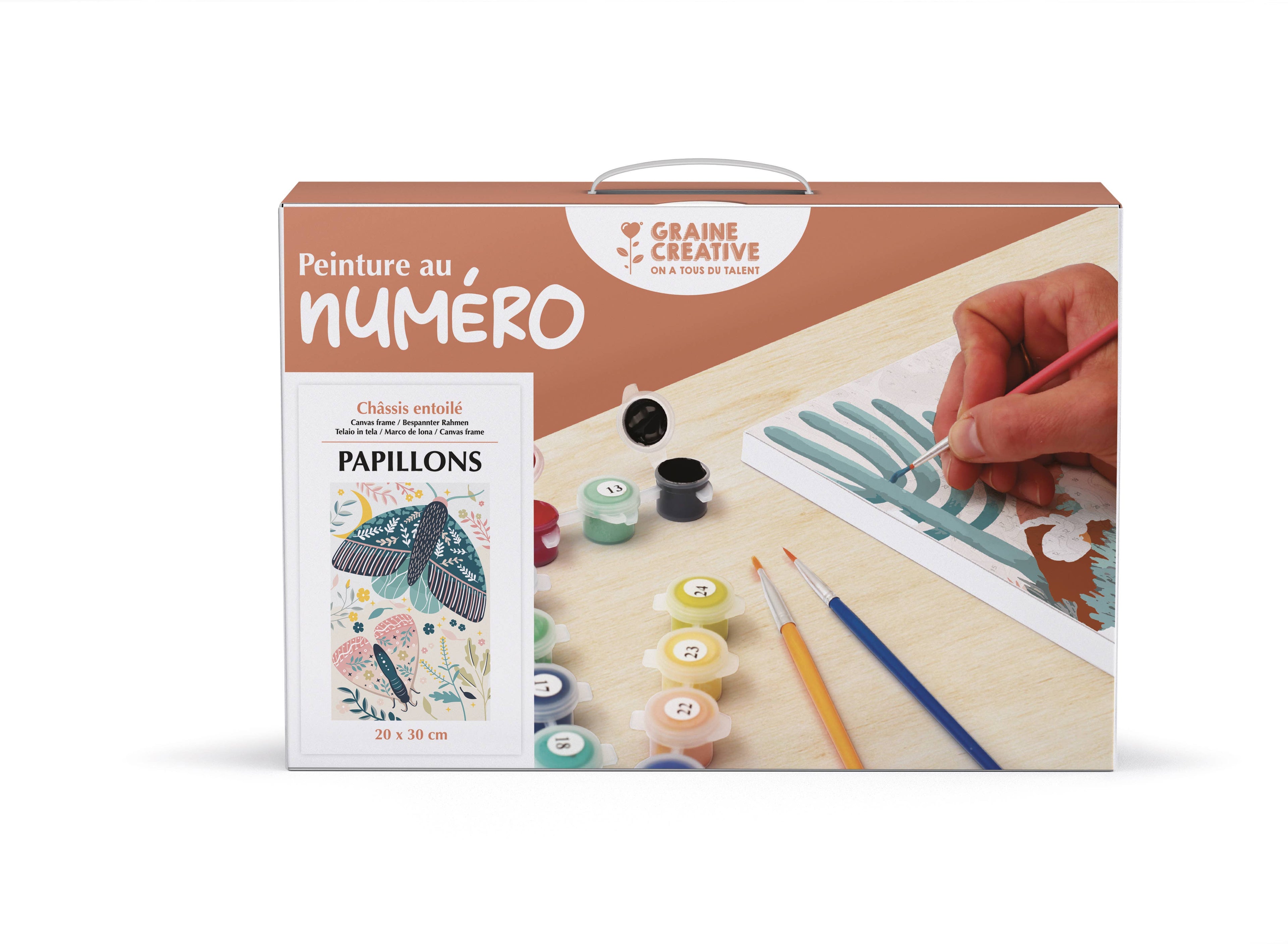 PEINTURE AU NUMERO PAPILLONS