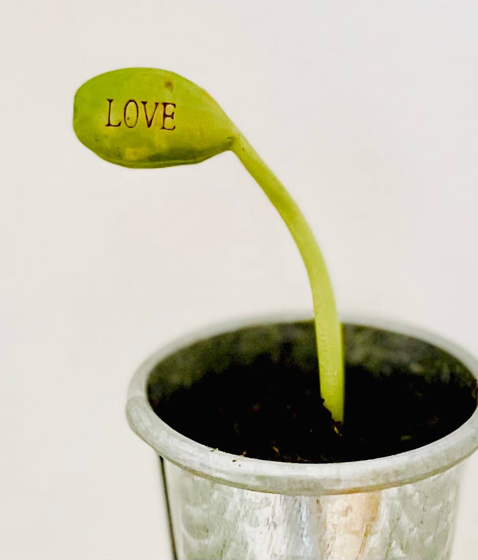 TG02- Carte et 2 graines gravées à planter