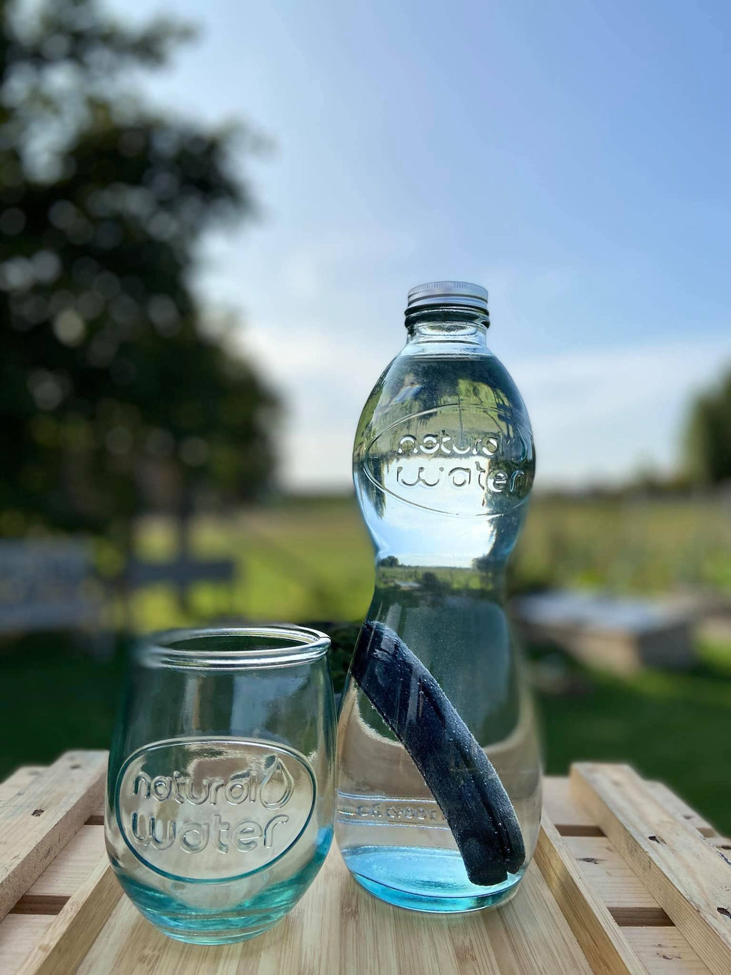 charbon binchotan Woody