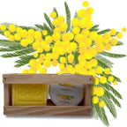 Edition Limitée Coffret Noël Mimosa dans coffret en Bois