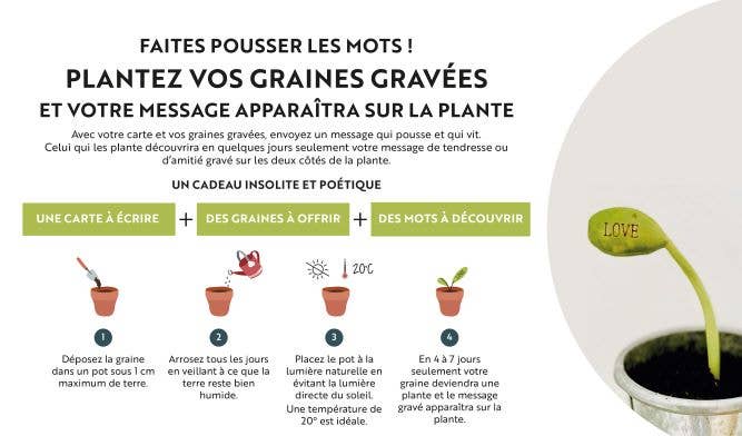 TG08- Carte et 2 graines gravées à planter