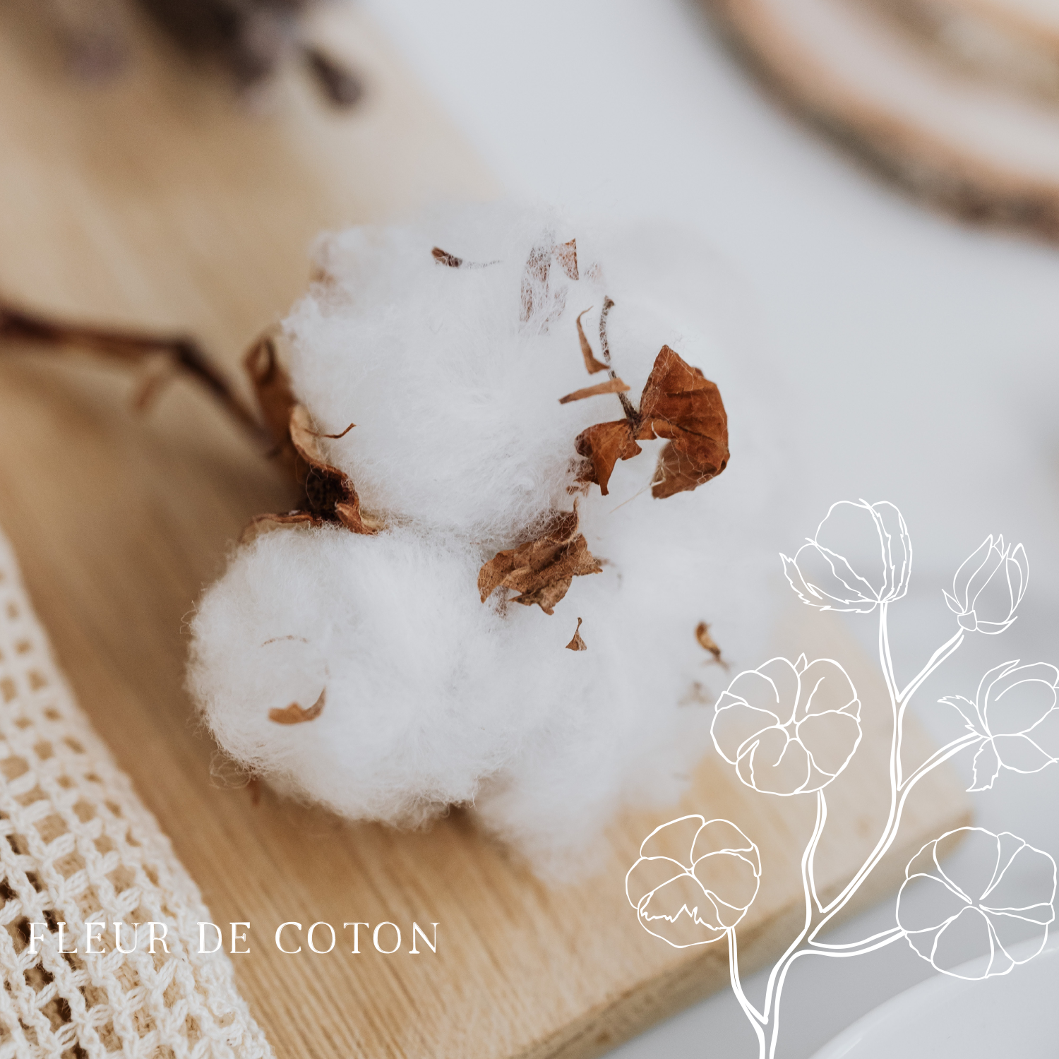 Fleur De Coton Bougie Parfumée Collection Essentielle