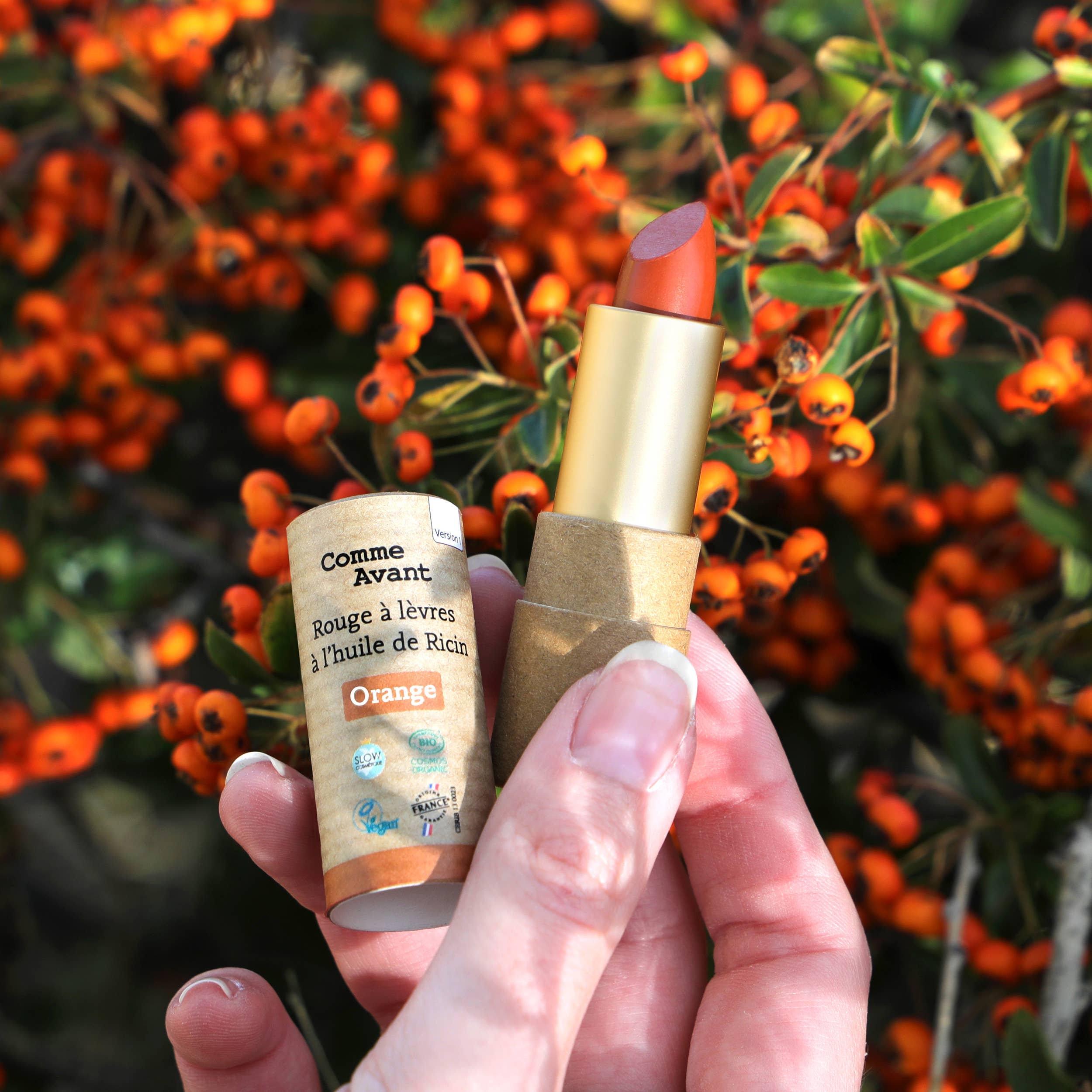 Rouge à lèvres bio à l’huile de ricin: Brique