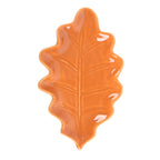 Plat à feuilles d'automne et d'automne